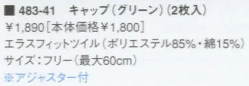 KAZEN 483-41 キャップ（2枚入）  サイズ／スペック