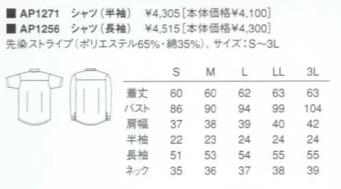 KAZEN AP1256 長袖女子シャツ ※画像は半袖ですが、この商品は長袖になります。 サイズ／スペック