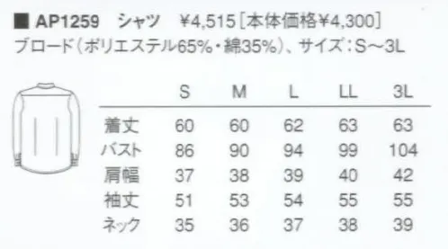KAZEN AP1259 長袖女子シャツ  サイズ／スペック