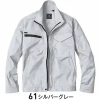 61 シルバーグレー