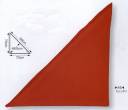 ビッグボーン・カジュアル・三角巾