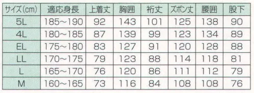 冨士ビニール工業 410 レインストーリー410(上下セット) 人にやさしい 地球に優しい 低公害素材E.V.Aを使用。レインストーリー410は防水コーティング部分にEVA=エチレン酢酸ビニール共重合フィルムを使用しており、使用後に焼却処分をしても人体や地球環境に悪影響を及ぼす有毒ガスが発生しません。また、燃焼温度が低い為、焼却炉等を傷めにくい今注目の素材を使用した雨衣です。●襟裏・前たて裏は別色の生地を使用。●襟部にフードが着脱可(釦止め)。●背抜き加工。●袖口の調整はゴム+マジックテープ。●前合わせ部分は三重構造。内側はファスナー使用。●裾はゴムヒモとストッパーで調節可能。●大型ポケット付き。●裏面総メッシュ付き。●フードの先はツバが付いてより視界を確保。●フードもメッシュ付き。●マスク部分はマジックテープを使用し、調節が簡単。●ズボン前部はファスナー付前開型で周囲にゴム絞りを用いて着用が容易。●ズボン裾部分は釦で調節可。●収納しやすい大型の袋。※この商品はご注文後のキャンセル、返品及び交換は出来ませんのでご注意下さい。※なお、この商品のお支払方法は、先振込（代金引換以外）にて承り、ご入金確認後の手配となります。 サイズ／スペック