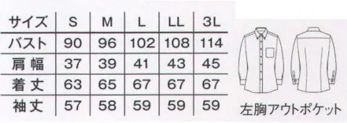 ボンマックス FB4021L レディスニット吸汗速乾長袖ブラウス 爽やかな着こなしを演出する細ストライプ柄。左胸にはペンやメモ、伝票が入れられるアウトポケットが付いています。●汗に強い！「アルティマ」生地。生地構造特性から、汗をかいても肌に残りにくく、サラッとした着心地が楽しめます。さらに、ポリエステルを混ぜた生地特性から、洗濯後に乾きやすく、型崩れしにくいため、取り扱いも簡単。ニット素材のため、伸縮性があり、ストレスフリーな着用感を与えてくれます。●台衿芯部分に使用したファイテンが心身ともにリラックスした状態へとサポートします。【ファイテン素材4つのポイント】●多くのアスリートも愛用する本格機能。世界規模のスポーツ競技会でも、多くのアスリートが身につけているファイテンのアクアチタン製品です。●心身のリラックスなど快適な毎日をサポート。アクアチタンは心身を本来のリラックスした状態へとサポートしてくれます。●ファイテン技術を使ったアクアチタン製品。素材としても注目されているチタンをファイテンのテクノロジーにより、ナノレベルで水中に分散したものが「アクアチタン」です。●通常の約10倍ものアクアチタンを含浸。ファイテンの水溶化メタル技術によりチタンをナノレベルで水中に分散することにより、繊維の1本1本に含浸させることに成功しました。シャツには通常の約10倍のアクアチタンが含浸されています。 サイズ／スペック