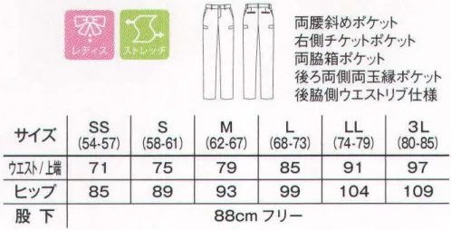 ボンマックス FP6306L レディスストレッチウエストリブパンツ リブ効果でフィット感も抜群！ウエストリブパンツ。アクティブな動きに対応したリブ付きのメンズチノパンツ。●ストライプ柄の裏地で肌触りも快適！左右と後ろ2ヶ所ずつのポケット裏地には、肌触りの良いストライプ柄のスレキを使用。●小物の仕分けもできる斜めポケット。右側の斜めポケット内には、チケットポケットを設置。小物の仕分けに便利！●耐久性に優れたバックポケット。後ろ両側には、耐久性に優れた玉縁ポケットを採用しました。●ウエストのリブが伸びて動きやすい！ウエストサイドに施されたリブが動きに合わせて伸び縮みするので動きやすく、はき心地も快適！意匠権出願中。●収納するのに便利な大きなサイドポケット。両サイドに、ペンやメモ帳の収納に便利なサイドポケット付き。使いやすさ満点です。●ベルトループ後ろに便利な輪っか付き！両腰裏左右のベルトループには、鍵や小物を吊り下げるのに便利な輪っか付き。ウエストリブパンツの動画 ©ボンマックス株式会社↓http://youtu.be/CiWUg6G0msE サイズ／スペック