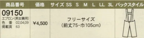 ボストン 09150 エプロン 日本の伝統柄、鱗紋・刺し子のエプロン・前掛けコーディネートで『和』の演出をパワーアップ。粋に楽しくお店の個性をアピールします。※この商品の柄違いは『その他の関連情報』をご参照下さい。この商品は色落ちすることがありますので、単品にてお洗濯をお願いします。なお、漂白剤の使用はお避け下さい。 サイズ／スペック