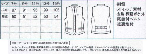 ボストン 15218-99 レディースベスト 繊細なストライプ織柄の落ち着いたチャコールグレー。優しい印象なので、どんなおもてなしシーンでもマッチします。 サイズ／スペック