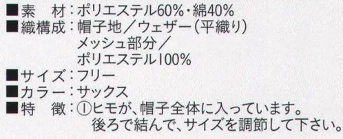 ビーバーズキャップ BL-7922 丸天リボン形ネット付帽 メッシュ部分も抗菌加工してあります。 ヒモが、帽子全体に入っています。後ろで結んで、サイズを調節して下さい。※この商品は、ご注文後のキャンセル・返品・交換ができませんので、ご注意下さいませ。※なお、この商品のお支払方法は、先振込（代金引換以外）にて承り、ご入金確認後の手配となります。 サイズ／スペック