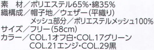 ビーバーズキャップ F-2250 六方キャップネット付 ヒサシはソフト軽量芯を使用。 後部マジックベルトでサイズ調整が出来ます。おしゃれにも毛髪にも気遣いを。※この商品は、ご注文後のキャンセル・返品・交換ができませんので、ご注意下さいませ。※なお、この商品のお支払方法は、先振込（代金引換以外）にて承り、ご入金確認後の手配となります。 サイズ／スペック