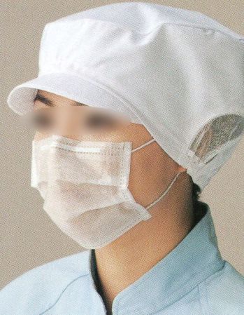 食品工場用 マスク ビーバーズキャップ SG-203 エコマスク2P耳掛式（100枚入り） 食品白衣jp