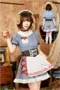 クリアストーン 4560320912880 HW ダスティコンフィ ドッグダイナー