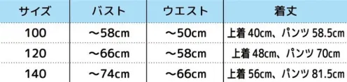 クリアストーン 4560320859796 HW 忍者ファイター キッズ 100 ストレッチ素材なのでとても着やすい！上着はかぶり仕様だから着脱も簡単。脚絆(足すね部分の赤い紐)もパンツに縫い付けてあるので動きやすい！セット内容も豊富でお得です！装飾部分の引っ掛かりや巻き込みに十分ご注意ください。保護者同伴でのご使用をお願い致します。※生産時期やロット、デザインによって、多少サイズ・色・柄が異なる場合があります。摩擦や水濡れにより色移りする恐れがありますのでご注意ください。※商品画像は可能な限り実物の色に近づくよう調整しておりますが、お使いのモニター設定、お部屋の照明等により実際の商品と色味が異なって見える場合がございます。又、同じ商品の画像でも、撮影環境によって画像の色に差異が生じる場合がございます。※この商品はご注文後のキャンセル、返品及び交換は出来ませんのでご注意下さい。※なお、この商品のお支払方法は、前払いにて承り、ご入金確認後の手配となります。 サイズ／スペック