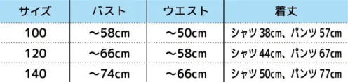 クリアストーン 4560320866695 HW スーパーポリスマン キッズ 100 帽子と胸元についたポリスワッペンが本格的。アメリカンポリスをイメージしたスタイリッシュなデザインがかっこいい！パンツはウエストゴムだから着脱簡単です！装飾部分の引っ掛かりや巻き込みに十分ご注意ください。保護者同伴でのご使用をお願い致します。※生産時期やロット、デザインによって、多少サイズ・色・柄が異なる場合があります。摩擦や水濡れにより色移りする恐れがありますのでご注意ください。※商品画像は可能な限り実物の色に近づくよう調整しておりますが、お使いのモニター設定、お部屋の照明等により実際の商品と色味が異なって見える場合がございます。又、同じ商品の画像でも、撮影環境によって画像の色に差異が生じる場合がございます。※この商品はご注文後のキャンセル、返品及び交換は出来ませんのでご注意下さい。※なお、この商品のお支払方法は、前払いにて承り、ご入金確認後の手配となります。 サイズ／スペック