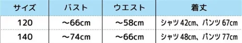 クリアストーン 4560320908999 HW グレイポリスパンツ キッズ 120 グレーのシャツが珍しいポリスコスチューム。本格的なポリスハットがクール！ワッペン付きのシャツはパンツにインしてもラフにアウトしてもバランスの良い着丈。パンツは着やすいウエストゴム仕様。ネクタイはゴムを首に通すだけなので簡単に着脱可能。装飾部分の引っ掛かりや巻き込みに十分ご注意ください。保護者同伴でのご使用をお願い致します。※生産時期やロット、デザインによって、多少サイズ・色・柄・仕様が異なる場合があります。染料の性質上、汗、雨、摩擦により多少色落ちする場合がございます。淡い色との重ね着にはご注意ください。※商品画像は可能な限り実物の色に近づくよう調整しておりますが、お使いのモニター設定、お部屋の照明等により実際の商品と色味が異なって見える場合がございます。又、同じ商品の画像でも、撮影環境によって画像の色に差異が生じる場合がございます。※この商品はご注文後のキャンセル、返品及び交換は出来ませんのでご注意下さい。※なお、この商品のお支払方法は、前払いにて承り、ご入金確認後の手配となります。 サイズ／スペック