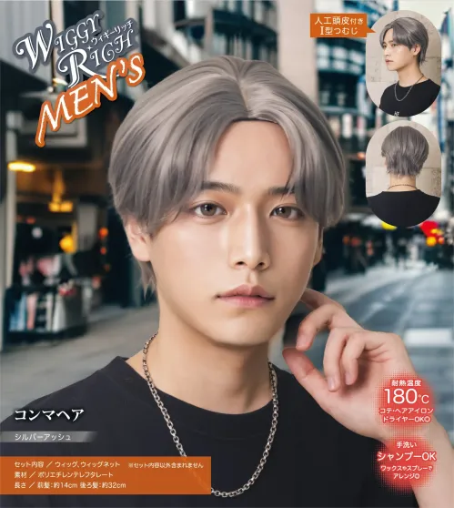 クリアストーン 4560320912125 WIGGY RICHメンズ コンマヘア(シルバーアッシュ)  サイズ／スペック