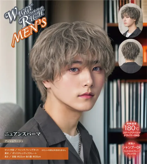 クリアストーン 4560320912149 WIGGY RICHメンズ ニュアンスパーマ(アッシュベージュ)   サイズ／スペック