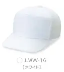 ダイキョーオータ LMW-16 ライトメッシュワイドCAP 正面が一枚布でできているので、大胆なデザインから、細かいデザインまで幅広く表現することが可能です。ライトメッシュ生地の特長●撥水加工を施し、少雨での使用における耐久性UP。●メッシュ地は150D×100Dの糸使いで、抜群の通気性を実現。●通常のメッシュ素材より薄く軽量。快適なフィット感。