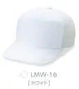 ダイキョーオータ LMW-16 ライトメッシュワイドCAP 正面が一枚布でできているので、大胆なデザインから、細かいデザインまで幅広く表現することが可能です。ライトメッシュ生地の特長●撥水加工を施し、少雨での使用における耐久性UP。●メッシュ地は150D×100Dの糸使いで、抜群の通気性を実現。●通常のメッシュ素材より薄く軽量。快適なフィット感。