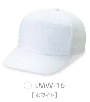 ダイキョーオータ LMW-16 ライトメッシュワイドCAP 正面が一枚布でできているので、大胆なデザインから、細かいデザインまで幅広く表現することが可能です。ライトメッシュ生地の特長●撥水加工を施し、少雨での使用における耐久性UP。●メッシュ地は150D×100Dの糸使いで、抜群の通気性を実現。●通常のメッシュ素材より薄く軽量。快適なフィット感。