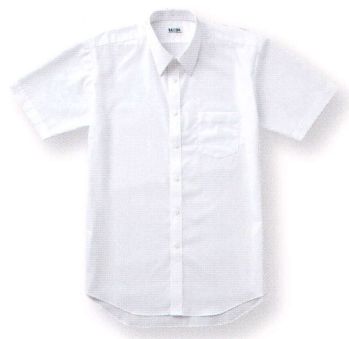 ダルトン 1551 レギュラーカラー半袖シャツ 企業独自のカラーを追求したい時は、コーディネートアイテムをプラス。自分らしい着こなしが楽しめます。