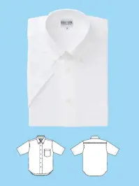 ダルトン 1556 半袖ニットボタンダウンシャツ ノーアイロンストレッチニットシャツ仕様品番:1556品名:半袖ニットボタンダウンシャツ
