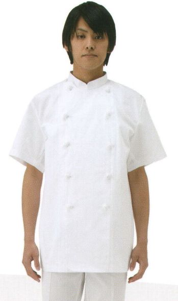 大丸白衣 SP121 コックコート半袖 美食にかけるピュアな心を映す磨き抜かれた正統派スタイル。綿・ポリエステル混紡シリーズ。