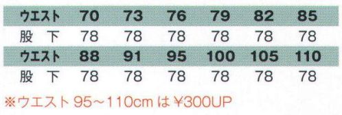 フジダルマ 53309 ツータックカーゴスラックス ※「SGR シックグリーン」、「B ブルー」、「N ネイビー」、「RN ロイヤルネイビー」、「CG チャコールグレー」は販売を終了致しました サイズ／スペック