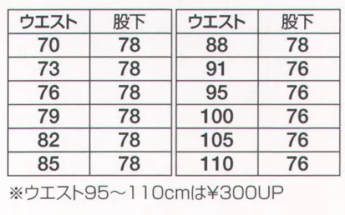 フジダルマ R-7308 ツータックスラックス 人と地球環境を考え作られたペットリサイクル繊維。そのマテリアルを使用したエコロジカルユニフォーム。あなたのビジネスシーンに好印象を与えます。 サイズ／スペック