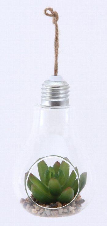 カジュアル 置物・飾り物 不二貿易 56414 ガラス多肉植物 電球瓶 C 蓋付き（4個入） サービスユニフォームCOM
