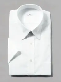 フレックスジャパン DHBR45 白ブロード 半袖