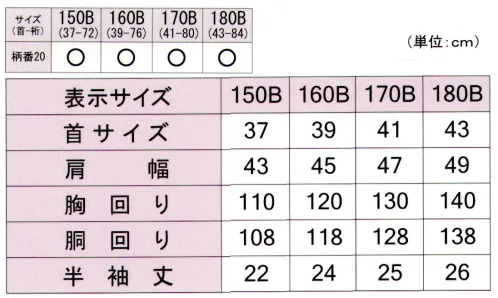 フレックスジャパン UWAL02-B スクールニットブラウス（A体） ALL FIVE※他サイズは「UWAL02-A」に掲載しております。※この商品はご注文後のキャンセル、返品及び交換は出来ませんのでご注意下さい。※なお、この商品のお支払方法は、先振込(代金引換以外)にて承り、ご入金確認後の手配となります。 サイズ／スペック