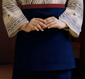 ショートエプロン