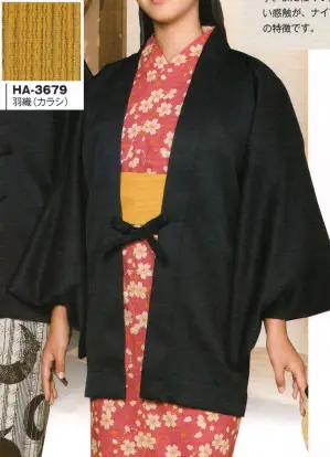（10枚入）ナイアガラ無地羽織（大人用）