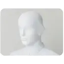 食品白衣jp 食品工場用 キャップ・帽子 フードマイスター MST76250 男女共用 混入だいきらいセレットガード（10枚入）