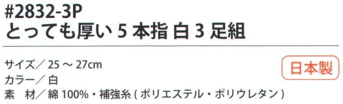 福徳産業 2832-3P とっても厚い5本指 白（3足組） 吸汗速乾だからサラッと快適。サポーター付きでピッタリフィット。厚地だから丈夫で長持ち、破れにくい。カカトなし。※この商品はご注文後のキャンセル、返品及び交換は出来ませんのでご注意下さい。※なお、この商品のお支払方法は、先振込（代金引換以外）にて承り、ご入金確認後の手配となります。 サイズ／スペック