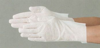クリーンウェア 手袋 ガードナー G5030 クリーン手袋SLタイプ（100双／1箱） 食品白衣jp