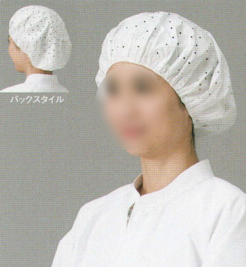 食品白衣jp ELヘアーネット（穴あきタイプ/100枚入り) ガードナー