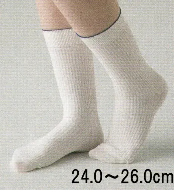 食品工場用 靴下・インソール ガードナー G8230 制電・抗菌・防臭靴下(男性用)（10足／箱入り） 食品白衣jp