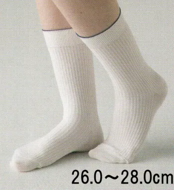食品工場用 靴下・インソール ガードナー G8231 制電・抗菌・防臭靴下(男性用)（10足／箱入り） 食品白衣jp