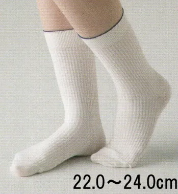 食品工場用 靴下・インソール ガードナー G8232 制電・抗菌・防臭靴下(女性用)（10足／箱入り） 食品白衣jp