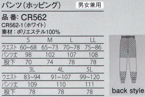 ガードナー CR562 パンツ(ホッピング) ドライフィールCR●優れた通気性により、ユニフォーム内をドライで爽やかに保ち、ムレ感を軽減。●柔らかく、サラリとした優しい肌触り。●発塵が少ない、ポリエステル100％の長繊維素材。●優れた帯電防止効果により、塵埃の吸着を低減。※こちらの商品はストライプ状に制電糸が入っております。※この商品は、ご注文後のキャンセル・返品・交換ができませんので、ご注意下さいませ。※なお、この商品のお支払方法は、先振込（代金引換以外）にて承り、ご入金確認後の手配となります。 サイズ／スペック