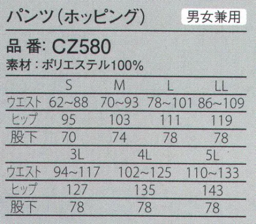 ガードナー CZ580 パンツ（ホッピング） ■FD POPLIN（フルダルポプリン）・吸水、速乾性に優れ、清涼感のある着心地が持続します。・薄手の軽量素材で暑い職場にも最適な素材です。・特殊セラミックを練り込み、防透性能に優れた素材です。・ケバ立ちや素材からの発塵が少ない、ポリエステル100％長織維素材。・毛髪やゴミを寄せ付けにくい、帯電防止性能素材です。・着衣、洗濯による劣化に強く、長時間の着用が期待できます。※この商品はご注文後のキャンセル、返品及び交換は出来ませんのでご注意下さい。※なお、この商品のお支払方法は、先振込(代金引換以外)にて承り、ご入金確認後の手配となります。 サイズ／スペック