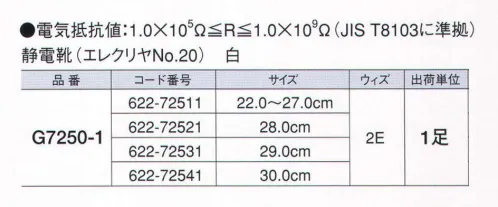 ガードナー G7250-1 静電靴（エレクリヤ NO．20） スタンダードタイプの静電靴。※この商品は、ご注文後のキャンセル・返品・交換ができませんので、ご注意下さいませ。※なお、この商品のお支払方法は、先振込（代金引換以外）にて承り、ご入金確認後の手配となります。 サイズ／スペック