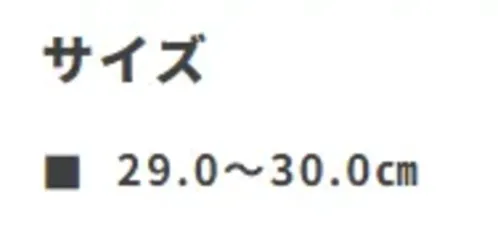 ガードナー G8233-1 制電・抗菌・防臭靴下 ホワイト×レッド（29.0～30.0cm）（10足/箱入り） サイズ／スペック