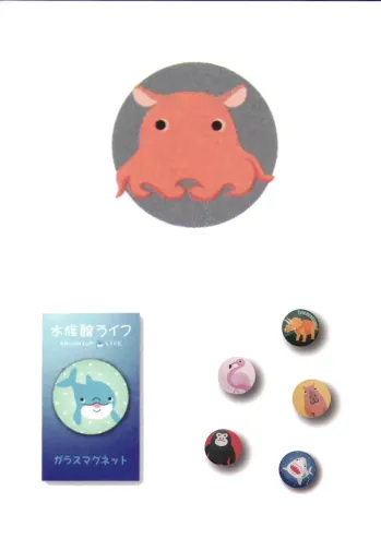 ギフト・アメニティ 置物・飾り物 ハイメン 4124Z17 （5個入）ガラスマグネット アクアリウムライフ メンダコ サービスユニフォームCOM