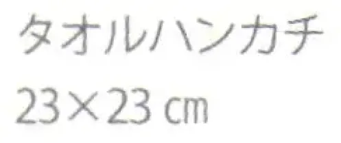 ハイメン 4176T01 （5枚入）タオルハンカチ おすわり 表ガーゼ裏パイルのコットン素材でお肌に優しいタオル♪この商品の売上の一部は（社）盲導犬総合支援センターを通じ、補助犬育成及び障がい者の社会参加の支援活動に役立てられます。※5枚入りです。※商品の色味は予告なく変更される場合がございます。※この商品はご注文後のキャンセル、返品及び交換は出来ませんのでご注意下さい。※なお、この商品のお支払方法は、先振込（代金引換以外）にて承り、ご入金確認後の手配となります。 サイズ／スペック