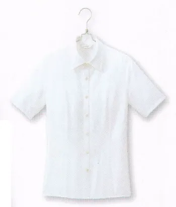 男女ペア 半袖ブラウス アイトス (ハイナック) B2610-01 半袖ブラウス 作業服JP