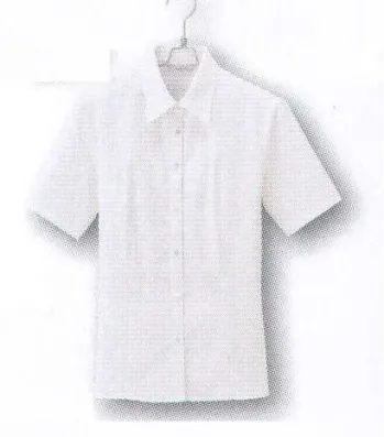 男女ペア 半袖ブラウス アイトス (ハイナック) B2930-01 半袖ブラウス 作業服JP