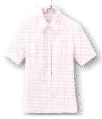 男女ペア 半袖ブラウス アイトス (ハイナック) B2930-38 半袖ブラウス 作業服JP