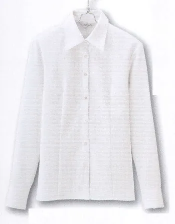 男女ペア 長袖ブラウス アイトス (ハイナック) B2931-01 長袖ブラウス 作業服JP