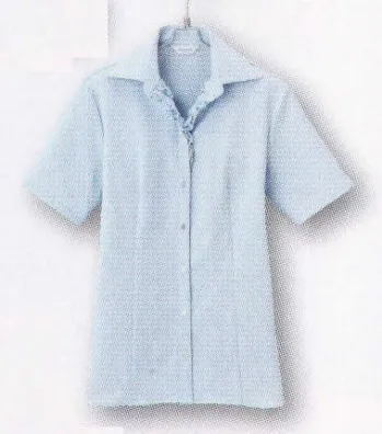 男女ペア 半袖ブラウス アイトス (ハイナック) B2940-20 半袖ブラウス 作業服JP